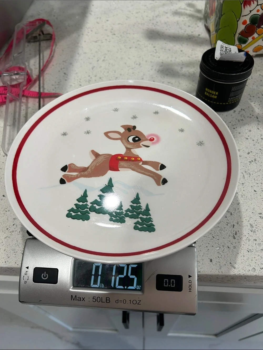 Pottery Barn Kids Rudolph The Red Nosed Reindeer Melamine Plates Set of 2 Two